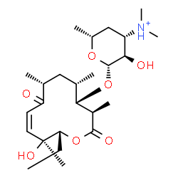 ChemSpider 2D Image | (3R,4S,5S,7R,9Z,11S,12R)-12-Ethyl-11-hydroxy-3,5,7,11-tetramethyl-2,8-dioxooxacyclododec-9-en-4-yl 3,4,6-trideoxy-3-(dimethylammonio)-beta-D-xylo-hexopyranoside | C25H44NO7