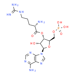 ChemSpider 2D Image | 3'-L-arginyl-AMP | C16H26N9O8P