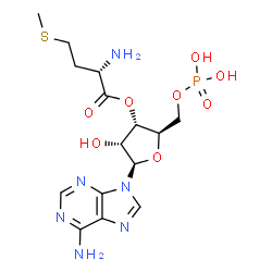 ChemSpider 2D Image | 3'-L-methionyl-AMP | C15H23N6O8PS