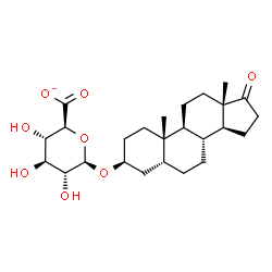 ChemSpider 2D Image | (3beta,5beta)-17-Oxoandrostan-3-yl beta-D-glucopyranosiduronate | C25H37O8