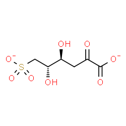 ChemSpider 2D Image | 3,6-Dideoxy-6-sulfonato-D-erythro-hex-2-ulosonate | C6H8O8S