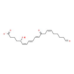 ChemSpider 2D Image | (5S,6Z,8E,10E,14Z)-5-Hydroxy-12,20-dioxo-6,8,10,14-icosatetraenoate | C20H27O5