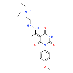ChemSpider 2D Image | N,N-Diethyl-2-(2-{(1E)-1-[1-(4-methoxyphenyl)-2,4,6-trioxotetrahydro-5(2H)-pyrimidinylidene]ethyl}hydrazino)ethanaminium | C19H28N5O4