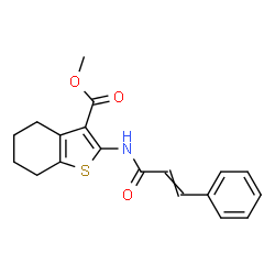 ChemSpider 2D Image | Methyl 2-(cinnamoylamino)-4,5,6,7-tetrahydro-1-benzothiophene-3-carboxylate | C19H19NO3S