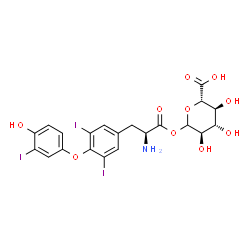 ChemSpider 2D Image | 1-O-[O-(4-Hydroxy-3-iodophenyl)-3,5-diiodo-L-tyrosyl]-D-glucopyranuronic acid | C21H20I3NO10