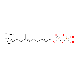 ChemSpider 2D Image | (2E,6E)-3,7-Dimethyl-11-(~13~C)methyl(11,12-~13~C_2_)-2,6,10-dodecatrien-1-yl trihydrogen diphosphate | C1213C3H28O7P2