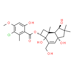ChemSpider 2D Image | (2R,4aR,7R,7aS)-2a,4a,7-Trihydroxy-3-(hydroxymethyl)-6,6,7b-trimethyl-2,2a,4a,5,6,7,7a,7b-octahydro-1H-cyclobuta[e]inden-2-yl 3-chloro-6-hydroxy-4-methoxy-2-methylbenzoate | C24H31ClO8