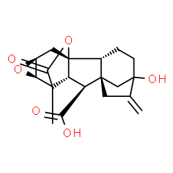 ChemSpider 2D Image | (1R,2R,8S,9S,10R,12R,14S)-5-Hydroxy-11-methyl-6-methylene-17-oxo-13,16-dioxahexacyclo[9.4.2.1~5,8~.0~1,10~.0~2,8~.0~12,14~]octadecane-9-carboxylic acid | C19H22O6