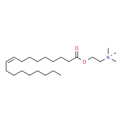ChemSpider 2D Image | N,N,N-Trimethyl-2-[(9Z)-9-octadecenoyloxy]ethanaminium | C23H46NO2