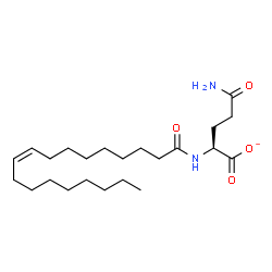 ChemSpider 2D Image | (2S)-5-Amino-2-[(9Z)-9-octadecenoylamino]-5-oxopentanoate | C23H41N2O4