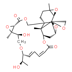 ChemSpider 2D Image | (1R,3S,4S,9S,13S,15R,16S,19R,20E,22Z,26R,27S,28S)-16-Hydroxy-19-[(1R)-1-hydroxyethyl]-6,15,27-trimethyl-12H,24H-spiro[2,5,11,14,18,25-hexaoxahexacyclo[24.2.1.0~3,9~.0~4,6~.0~9,27~.0~13,15~]nonacosa-20
,22-diene-28,2'-oxirane]-12,24-dione | C29H38O11