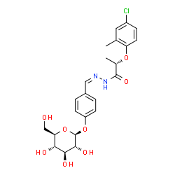 ChemSpider 2D Image | (2S)-2-(4-Chloro-2-methylphenoxy)-N'-{(Z)-[4-(beta-D-glucopyranosyloxy)phenyl]methylene}propanehydrazide | C23H27ClN2O8
