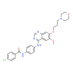 ChemSpider 2D Image | 4-Chloro-N-[4-({6-methoxy-7-[3-(4-morpholinyl)propoxy]-4-quinazolinyl}amino)phenyl]benzamide | C29H30ClN5O4