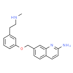ChemSpider 2D Image | 7-({3-[2-(Methylamino)ethyl]phenoxy}methyl)-2-quinolinamine | C19H21N3O