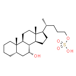 ChemSpider 2D Image | (5beta,7alpha)-7-Hydroxycholan-24-yl hydrogen sulfate | C24H42O5S