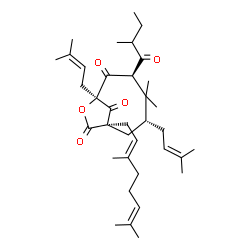 ChemSpider 2D Image | (1R,3R,5R,7S)-1-[(2E)-3,7-Dimethyl-2,6-octadien-1-yl]-4,4-dimethyl-5-(2-methylbutanoyl)-3,7-bis(3-methyl-2-buten-1-yl)-8-oxabicyclo[5.2.1]decane-6,9,10-trione | C36H54O5