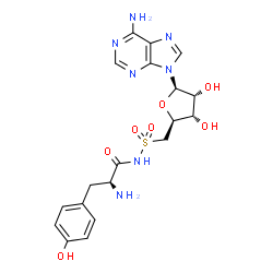 ChemSpider 2D Image | 5'-Deoxy-5'-(L-tyrosylsulfamoyl)adenosine | C19H23N7O7S