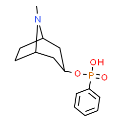 ChemSpider 2D Image | (3-endo)-8-Methyl-8-azabicyclo[3.2.1]oct-3-yl hydrogen (S)-phenylphosphonate | C14H20NO3P