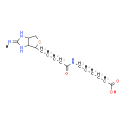 ChemSpider 2D Image | 6-({5-[(2e,3as,4s,6ar)-2-Iminohexahydro-1h-Thieno[3,4-D]imidazol-4-Yl]pentanoyl}amino)hexanoic Acid | C16H28N4O3S