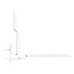 ChemSpider 2D Image | (19R,22S,25R)-22,25,26-Trihydroxy-22-oxido-16-oxo-17,21,23-trioxa-22lambda~5~-phosphahexacosan-19-yl (9E)-9-hexadecenoate | C38H73O10P