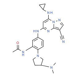 ChemSpider 2D Image | N-(5-{[3-Cyano-7-(cyclopropylamino)pyrazolo[1,5-a]pyrimidin-5-yl]amino}-2-[(3R)-3-(dimethylamino)-1-pyrrolidinyl]phenyl)acetamide | C24H29N9O