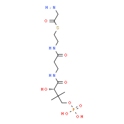 ChemSpider 2D Image | S-[2-({N-[(2S)-2-Hydroxy-3,3-dimethyl-4-(phosphonooxy)butanoyl]-beta-alanyl}amino)ethyl] aminoethanethioate | C13H26N3O8PS