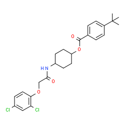 ChemSpider 2D Image | 4-{[(2,4-Dichlorophenoxy)acetyl]amino}cyclohexyl 4-(2-methyl-2-propanyl)benzoate | C25H29Cl2NO4