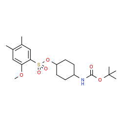 ChemSpider 2D Image | 4-({[(2-Methyl-2-propanyl)oxy]carbonyl}amino)cyclohexyl 2-methoxy-4,5-dimethylbenzenesulfonate | C20H31NO6S