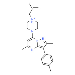 ChemSpider 2D Image | 4-[2,5-Dimethyl-3-(4-methylphenyl)pyrazolo[1,5-a]pyrimidin-7-yl]-1-(2-methyl-2-propen-1-yl)piperazin-1-ium | C23H30N5