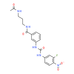 ChemSpider 2D Image | N-(3-Acetamidopropyl)-3-{[(3-fluoro-4-nitrophenyl)carbamoyl]amino}benzamide | C19H20FN5O5