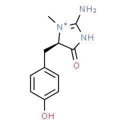 ChemSpider 2D Image | (4R)-2-Amino-4-(4-hydroxybenzyl)-3-methyl-5-oxo-4,5-dihydro-1H-imidazol-3-ium | C11H14N3O2