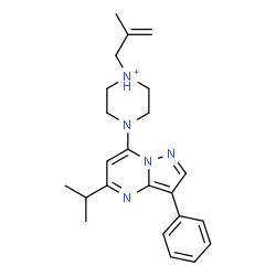 ChemSpider 2D Image | 4-(5-Isopropyl-3-phenylpyrazolo[1,5-a]pyrimidin-7-yl)-1-(2-methyl-2-propen-1-yl)piperazin-1-ium | C23H30N5