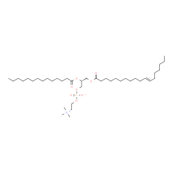 ChemSpider 2D Image | (2R)-3-[(11E)-11-Octadecenoyloxy]-2-(tetradecanoyloxy)propyl 2-(trimethylammonio)ethyl phosphate | C40H78NO8P