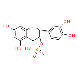 ChemSpider 2D Image | (2R,3R)-2-(3,4-Dihydroxyphenyl)-5,7-dihydroxy-3,4-dihydro-2H-chromen-3-yl hydrogen sulfate | C15H14O9S