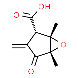 ChemSpider 2D Image | (1S,2S,5S)-1,5-Dimethyl-3-methylene-4-oxo-6-oxabicyclo[3.1.0]hexane-2-carboxylic acid | C9H10O4