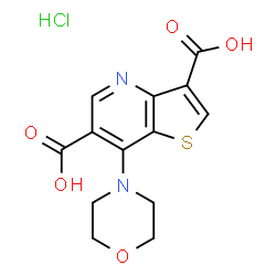 ChemSpider 2D Image | 7-Morpholinothieno[3,2-B]Pyridine-3,6-Dicarboxylic Acid Hydrochloride | C13H13ClN2O5S