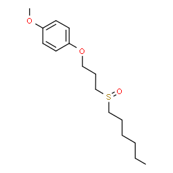 ChemSpider 2D Image | 1-[3-(Hexylsulfinyl)propoxy]-4-methoxybenzene | C16H26O3S