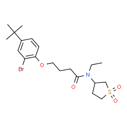 ChemSpider 2D Image | 4-[2-Bromo-4-(2-methyl-2-propanyl)phenoxy]-N-(1,1-dioxidotetrahydro-3-thiophenyl)-N-ethylbutanamide | C20H30BrNO4S