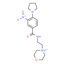 ChemSpider 2D Image | 4-(2-{[3-Nitro-4-(1-pyrrolidinyl)benzoyl]amino}ethyl)morpholin-4-ium | C17H25N4O4