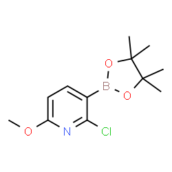 ChemSpider 2D Image | 2-Chloro-6-methoxy-3-(4,4,5,5-tetramethyl-1,3,2-dioxaborolan-2-yl)pyridine | C12H17BClNO3