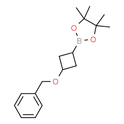 ChemSpider 2D Image | 2-[3-(Benzyloxy)cyclobutyl]-4,4,5,5-tetramethyl-1,3,2-dioxaborolane | C17H25BO3