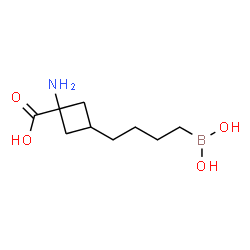 ChemSpider 2D Image | 1-Amino-3-[4-(dihydroxyboryl)butyl]cyclobutanecarboxylic acid | C9H18BNO4