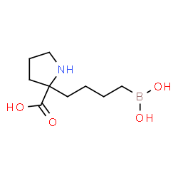 ChemSpider 2D Image | 2-[4-(Dihydroxyboryl)butyl]proline | C9H18BNO4