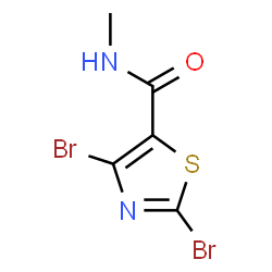 ChemSpider 2D Image | 2,4-Dibromo-N-methyl-1,3-thiazole-5-carboxamide | C5H4Br2N2OS