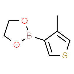 ChemSpider 2D Image | 2-(4-Methyl-3-thienyl)-1,3,2-dioxaborolane | C7H9BO2S