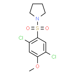 ChemSpider 2D Image | 1-[(2,5-Dichloro-4-methoxyphenyl)sulfonyl]pyrrolidine | C11H13Cl2NO3S