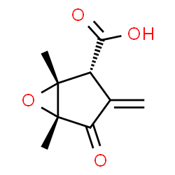 ChemSpider 2D Image | (1R,2R,5R)-1,5-Dimethyl-3-methylene-4-oxo-6-oxabicyclo[3.1.0]hexane-2-carboxylic acid | C9H10O4