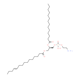 ChemSpider 2D Image | (2R)-3-{[(2-Aminoethoxy)(hydroxy)phosphoryl]oxy}-2-(tetradecanoyloxy)propyl (11E)-11-pentadecenoate | C34H66NO8P