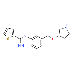 ChemSpider 2D Image | N-{3-[(3-Pyrrolidinyloxy)methyl]phenyl}-2-thiophenecarboximidamide | C16H19N3OS