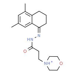 ChemSpider 2D Image | 4-{3-[(2Z)-2-(5,7-Dimethyl-3,4-dihydro-1(2H)-naphthalenylidene)hydrazino]-3-oxopropyl}morpholin-4-ium | C19H28N3O2